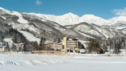 Primary image