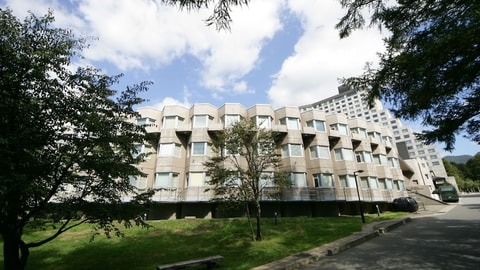 Primary image