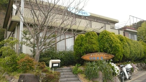 Primary image