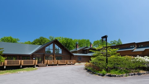 Primary image