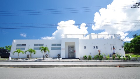 Primary image