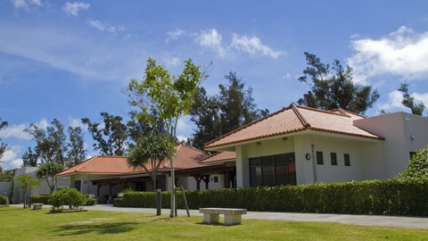 Primary image