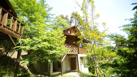Primary image