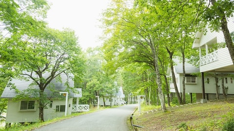 Primary image