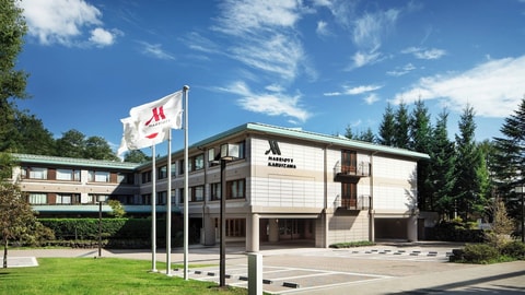 Primary image