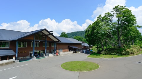 Primary image