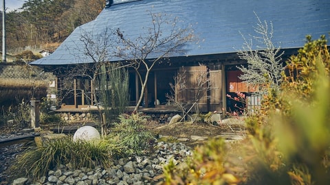 Primary image