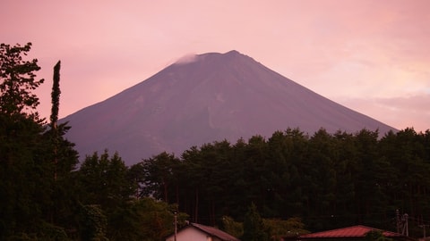 Primary image
