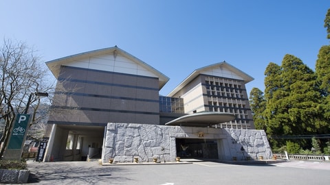 Primary image