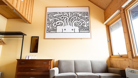 Primary image