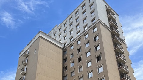 Primary image
