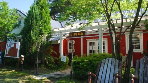 Primary image