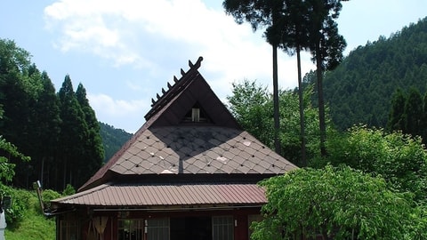 Primary image