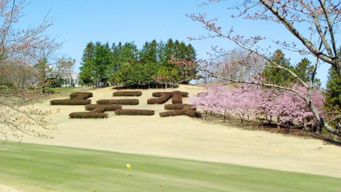 高尔夫