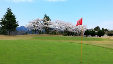 高尔夫