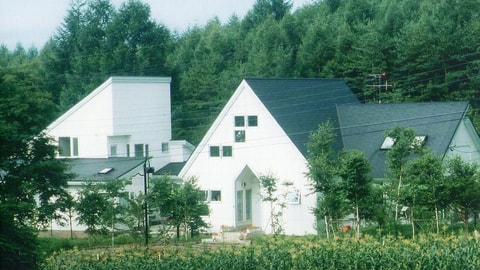 Primary image