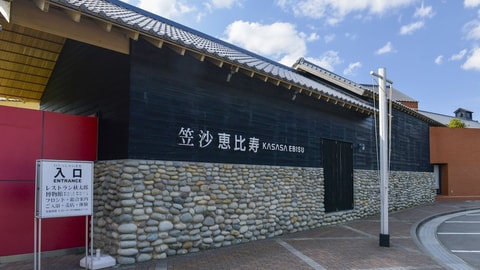 主图片