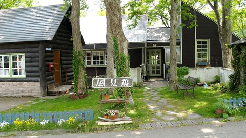 Primary image