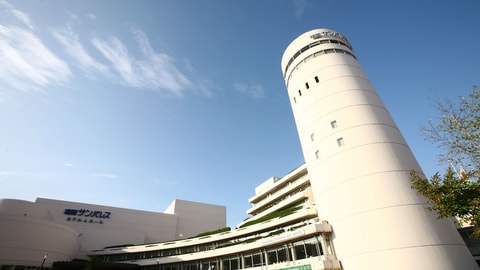 Primary image