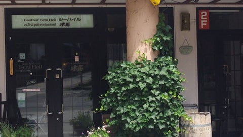 Primary image