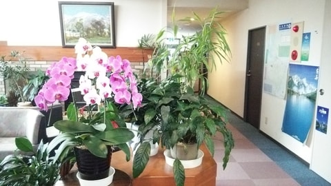 Primary image