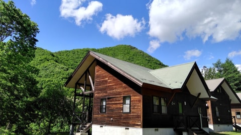 Primary image