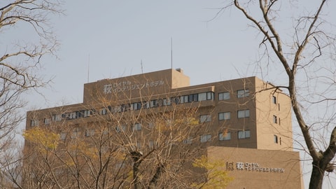 Primary image