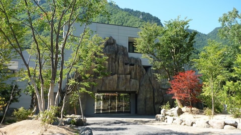 Primary image