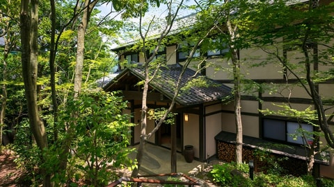 Primary image