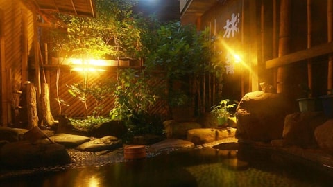 Natural pool