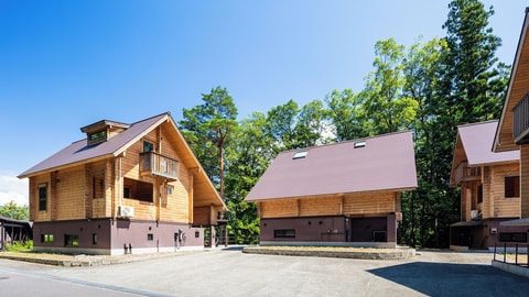 Primary image