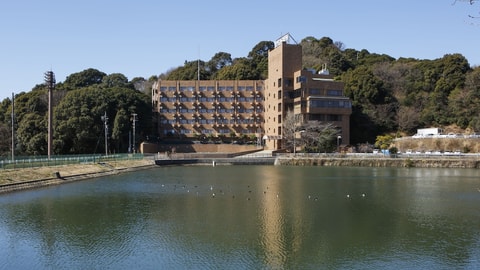 Primary image