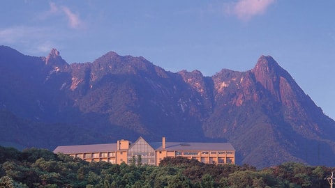 Primary image