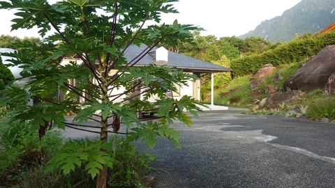 Primary image