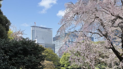 Primary image