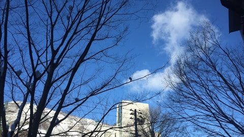Primary image