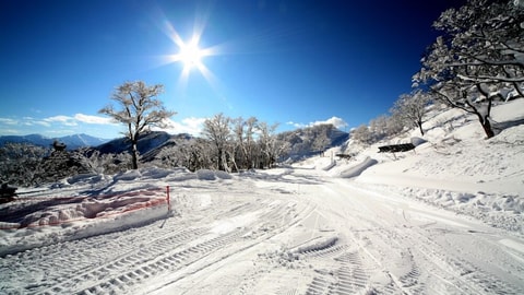 Snow and ski sports