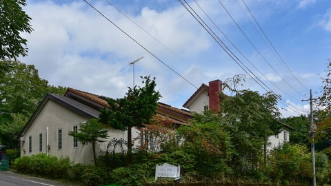 Primary image