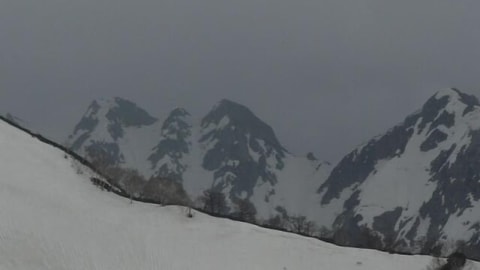Primary image