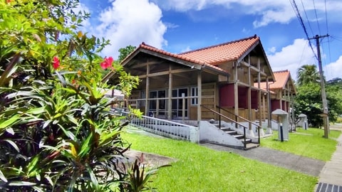 Primary image