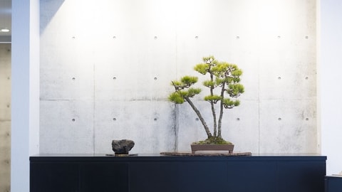大堂