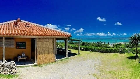 Primary image