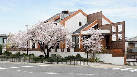 Primary image