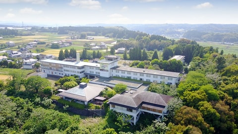 Primary image
