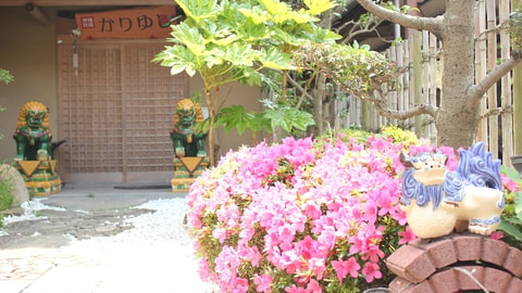 Primary image