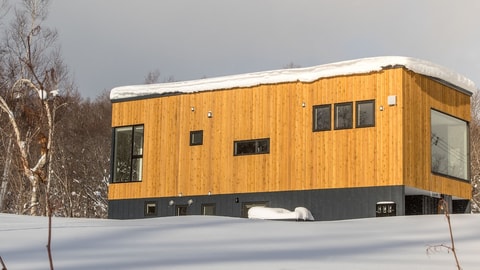 Primary image
