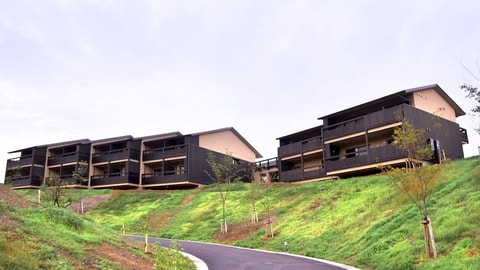 Primary image