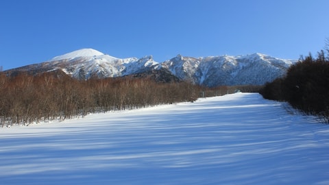 滑雪运动