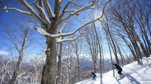 滑雪运动