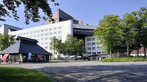 Primary image
